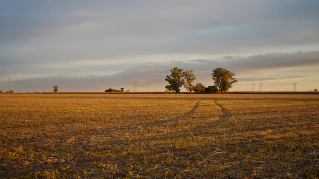 image of land trees and sky for operations banner